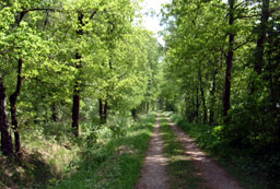 Natur
